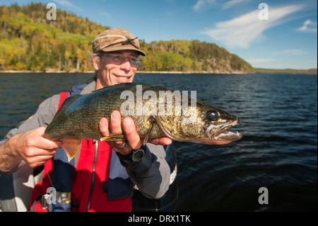 Angler hält eine große Sommer-Zander, die er von seinem Boot auf einem See im Norden von Ontario gefangen. Stockfoto