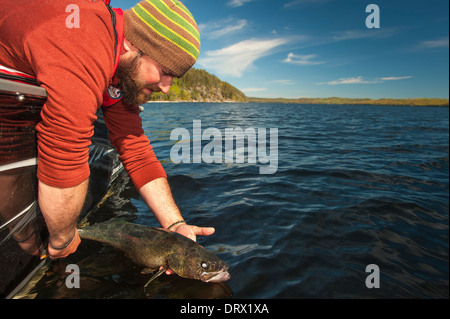 Angler gelehnt von seinem Fischerboot, ein Sommer-Zander zurück in den See freizugeben. Stockfoto