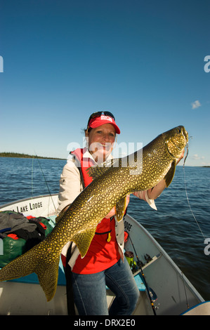 Frau Angler hält eine große Sommer-Seeforellen gefangen von einem Boot in einem See im Norden von Ontario. Stockfoto