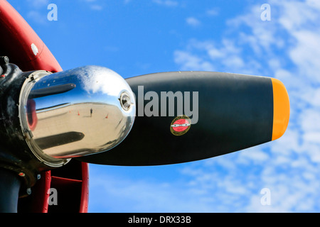 Die Propeller und Pratt & Whitney R-1830-Engine von WW2 B24 Liberator Bomber Flugzeug Stockfoto