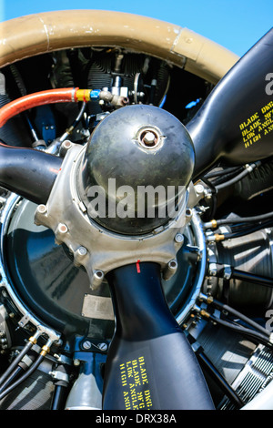 Der Wright Cyclone-Motor der B17 Flying Fortress WW2 Bomber Flugzeug Stockfoto