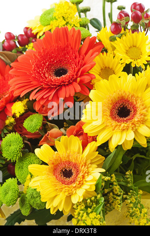 Fragment von Bouquet von Gerbera Blumen isoliert auf weißem Hintergrund. Closeup. Stockfoto