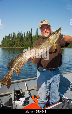 Fischer hält einen riesigen Hecht, die, den er von seinem Boot auf einem See im Norden von Ontario, Kanada gefangen Stockfoto