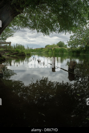 Blick auf Holzpfosten in Fluss, umrahmt von überhängenden Bäumen, England Stockfoto