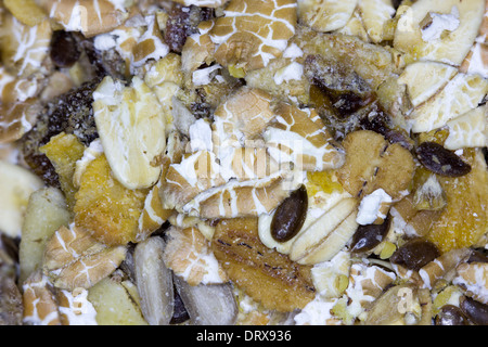 Nahaufnahme Bild ein Müsli-Mix Stockfoto