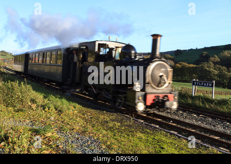 Ein dampfzug Geschwindigkeiten entlang der welshpool und llanfair Light Railway an banwy sylfaen im Tal, Powys Stockfoto