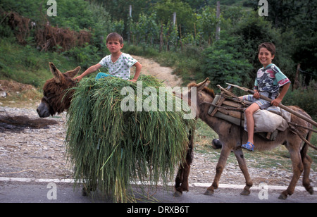 Zwei jungen fahren Maultiere in ländliche Albanien Stockfoto