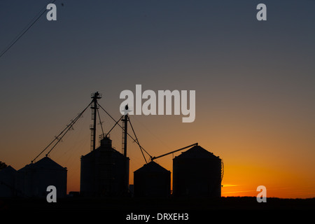 Im mittleren Westen Kornlift bei Sonnenuntergang auf den Ebenen von Illinois. Stockfoto