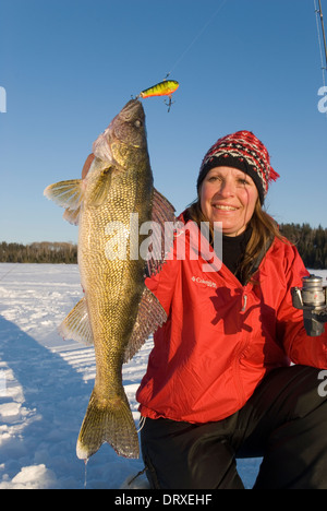 Frau hält einen Winter Zander, dass sie Eisangeln gefangen. Stockfoto