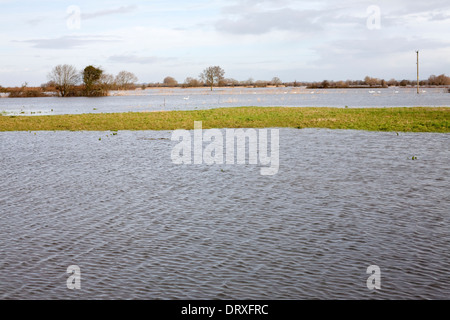 Felder auf der Somerset Ebene überflutet infolge von Stürmen, die die Süd-West im Jahr 2014 getroffen Stockfoto