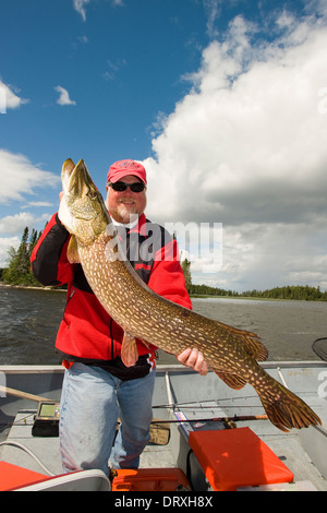 Fischer hält einen riesigen Hecht fing er von einem Boot auf einem See im Norden von Ontario, Kanada Stockfoto