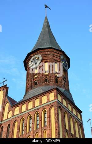 Königsberger Dom - gotischer Tempel aus dem 14. Jahrhundert. Symbol des Kaliningrader Gebiets (vor 1946 Königsberg), Russland Stockfoto