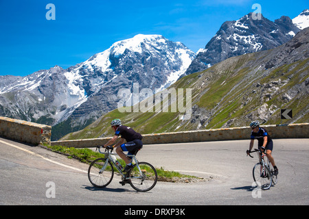 Radfahrer fahren Roadbikes (Guerciotti und Optik) bergauf auf der Stelvio Pass, Passo Dello Stelvio, Stilfser Joch, in den Alpen, Italien Stockfoto