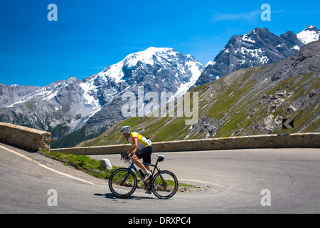 Radfahrer fährt Scott britische Roadbike bergauf auf der Stelvio Pass, Passo Dello Stelvio, Stilfser Joch, in den Alpen, Italien Stockfoto