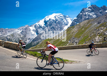 Radfahrer fahren Roadbikes (Frau reitet Gazelle) bergauf auf der Stelvio Pass, Passo Dello Stelvio, Stilfser Joch, in den Alpen, Italien Stockfoto