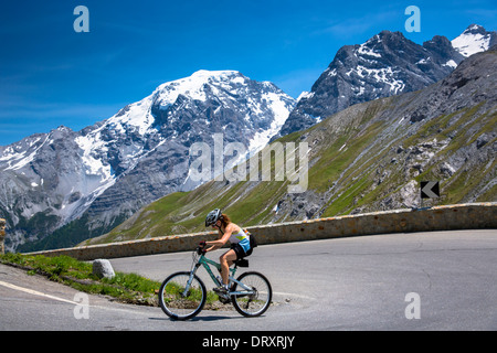 Weibliche Radfahrer fährt britische Mountainbike Scott bergauf auf der Stelvio Pass, Passo Dello Stelvio, Stilfser Joch, den Alpen, Italien Stockfoto