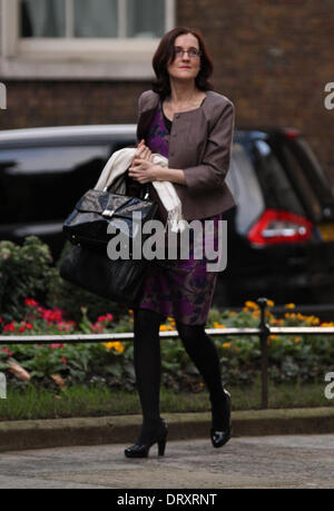 London, UK, 4. Februar 2014. Theresa Villiers, gesehen in Downing Street, Westminster. Bildnachweis: Simon Matthews/Alamy Live-Nachrichten Stockfoto