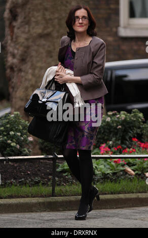 London, UK, 4. Februar 2014. Theresa Villiers, gesehen in Downing Street, Westminster. Bildnachweis: Simon Matthews/Alamy Live-Nachrichten Stockfoto