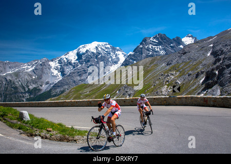Radfahrer fahren Roadbikes bergauf auf der Stelvio Pass, Passo Dello Stelvio, Stilfser Joch, in den Alpen, Italien Stockfoto