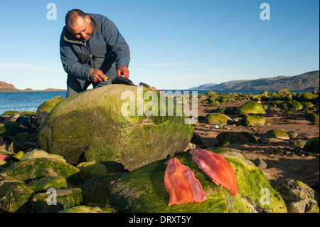 Eine Inuit-Angelführer Filets das gefangenen Fische-Fliegenfischen in den arktischen Gewässern. Stockfoto