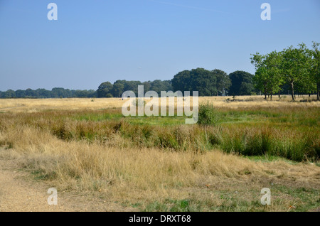 Wanstead Wohnungen, Forest Gate (Norden), London, E7 Stockfoto