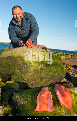 Eine Inuit-Angelführer Filets das gefangenen Fische-Fliegenfischen in den arktischen Gewässern. Stockfoto