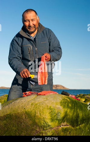 Eine Inuit-Angelführer Filets das gefangenen Fische-Fliegenfischen in den arktischen Gewässern. Stockfoto