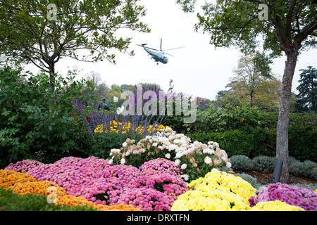 US-Präsident Barack Obama auf Marine One von dem South Lawn des weißen Hauses 30. Oktober 2013 in Washington, DC weicht. Stockfoto