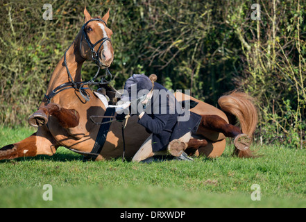 Ein weibliches Pferd Reiter nach Berkeley Jagd fällt nach dem Sprung einer Hecke in einem November treffen auf die Schinken-Gloucestershir Stockfoto