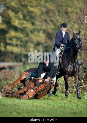 Ein Reiter nach Berkeley Jagd fällt beim Springen einer Hecke in einem November treffen in der Schinken Gloucestershire UK Stockfoto