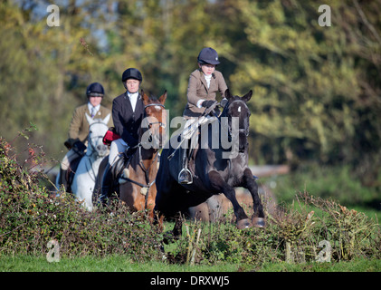 Ein junger Reiter nach Berkeley Jagd springt eine Absicherung bei einem November treffen in der Schinken Gloucestershire UK Stockfoto