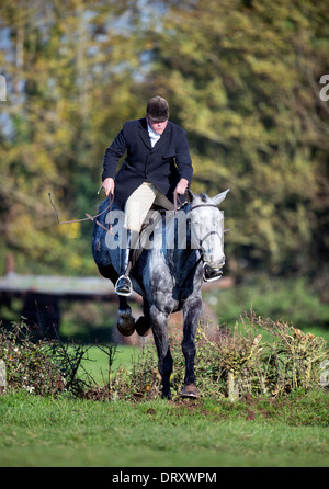 Ein Reiter nach Berkeley Jagd springt eine Absicherung bei einem November treffen in der Schinken Gloucestershire UK Stockfoto