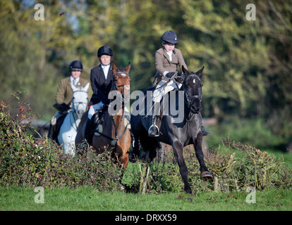 Ein junger Reiter nach Berkeley Jagd springt eine Absicherung bei einem November treffen in der Schinken Gloucestershire UK Stockfoto