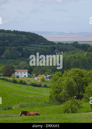 Tal mit einem Pferd, Hütte und Strand im Hintergrund Stockfoto