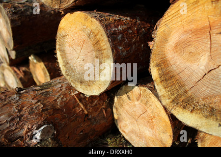 Haufen von gesägtem Holz Stockfoto