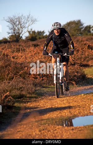 Radsportler, die auf dem Bratley Aussicht, New Forest National Park, Hampshire im Januar Stockfoto