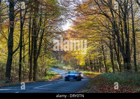 AUTOS AUF DER LANDSTRAßE MIT HERBSTLICHEN BÄUME IM WALD VON DEAN GLOUCESTERSHIRE ENGLAND UK Stockfoto