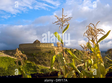 Ingapirca, Inka Wand- und Stadt, größte bekannte Inka Ruinen in Ecuador Stockfoto