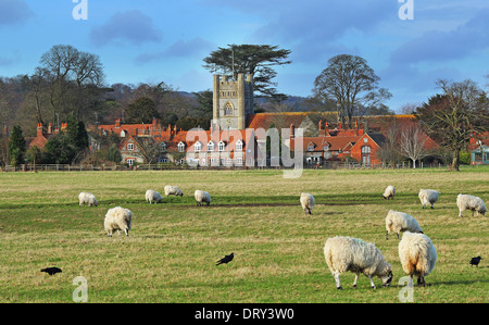 Eine ländliche Landschaft in den Chiltern Hills in England mit weidenden Schafen und das Dorf Hambleden Stockfoto