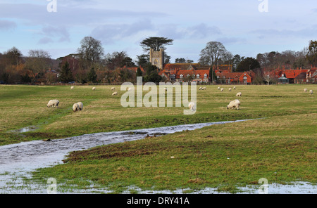 Eine ländliche Landschaft in den Chiltern Hills in England mit weidenden Schafen und das Dorf Hambleden Stockfoto