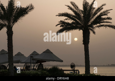 Palmen, die Silhouette bei Mondschein am Strand Stockfoto