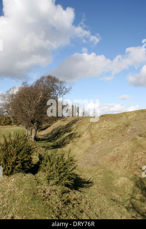 Offa es Dyke in der Nähe von Kerry Ridgeway Shropshire England UK Stockfoto