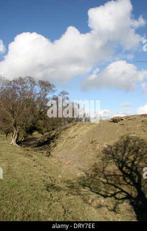 Offa es Dyke in der Nähe von Kerry Ridgeway Shropshire England UK Stockfoto