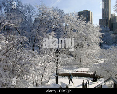 New York, USA. 4. Februar 2014. Foto aufgenommen am 4. Februar 2014 zeigt die verschneite Landschaft des Central Park in New York City in den Vereinigten Staaten. Bildnachweis: Gao Li/Xinhua/Alamy Live-Nachrichten Stockfoto