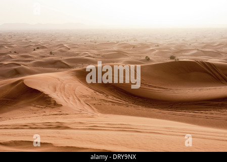 Landschaft der Wüste Stockfoto