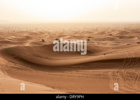 Landschaft der Wüste Stockfoto