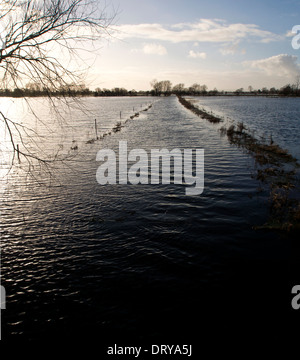 Überfluteten Felder auf der Somerset Levels Stockfoto