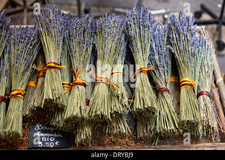 Blumensträuße von trockenen Lavendel oder Lavandin Blüten für den Verkauf auf dem Markt von Aix-En-Provence, Frankreich Stockfoto