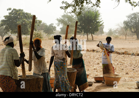 BURKINA FASO Kaya, Dorf Korsimoro, Frauen-Pfund-Hirse, der Sahel-Zone ist regelmäßig durch Dürren und Hunger betroffen. Stockfoto