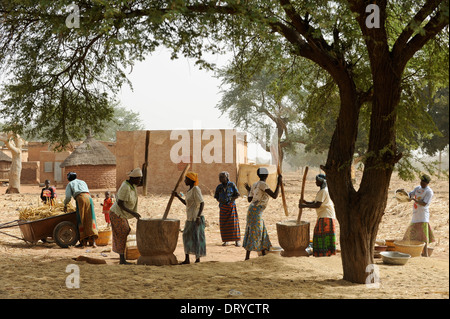 BURKINA FASO Kaya, Dorf Korsimoro, Frauen-Pfund-Hirse, der Sahel-Zone ist regelmäßig durch Dürren und Hunger betroffen. Stockfoto